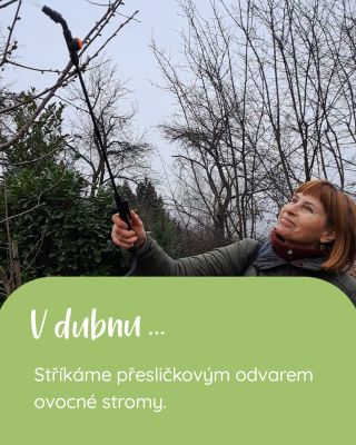 Duben je hlavní sezóna na výsev semínek… 🌱 11. – 13. 4. jsou nejvhodnější dny pro výsadbu cibule a kořenové zeleniny....