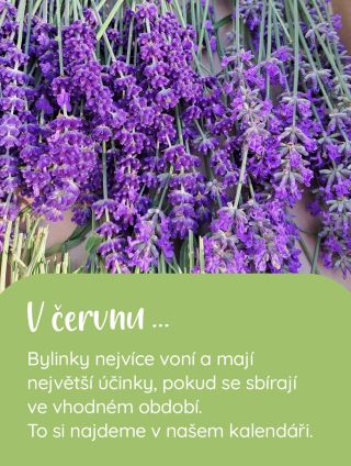 Každý měsíc vám práci na zahradě usnadní náš biozahradnický kalendář 🙌 Stáhněte si jej na našem e-shopu nebo napište...